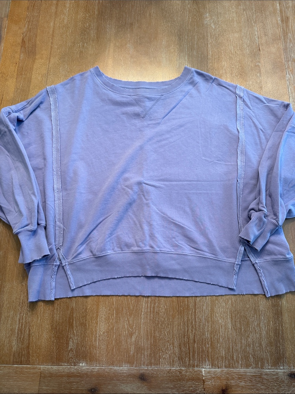 American Eagle Outfitters Lavender Cropped Sweatshirt